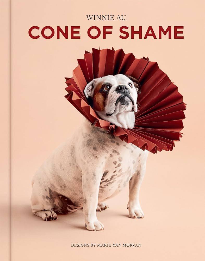 Cone of Shame | Amazon (US)