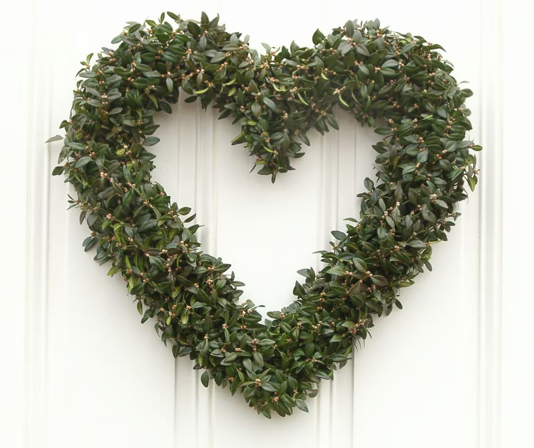 Boxwood Wreath, Fresh Boxwood Heart Wreath, Valentine's Day, Heart Shaped Wreath, Front Door Wrea... | Etsy (US)