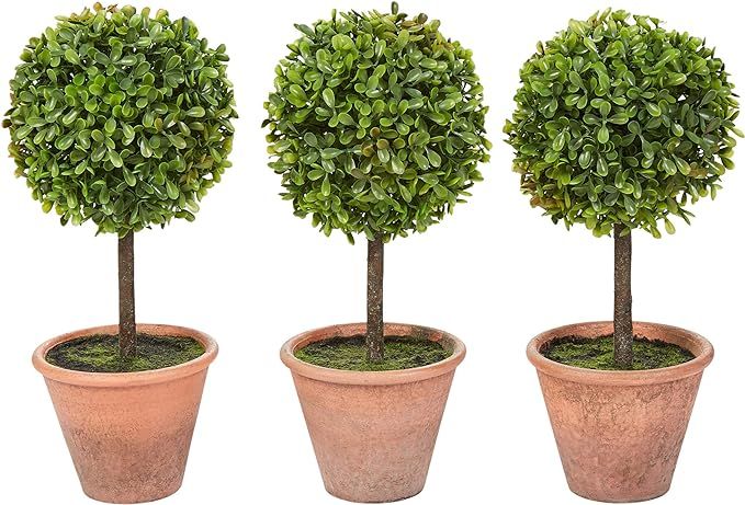 Home Faux Boxwood – 3 Matching Realistic 11.5" Tall Topiary Arrangements for Indoor or Office D... | Amazon (US)