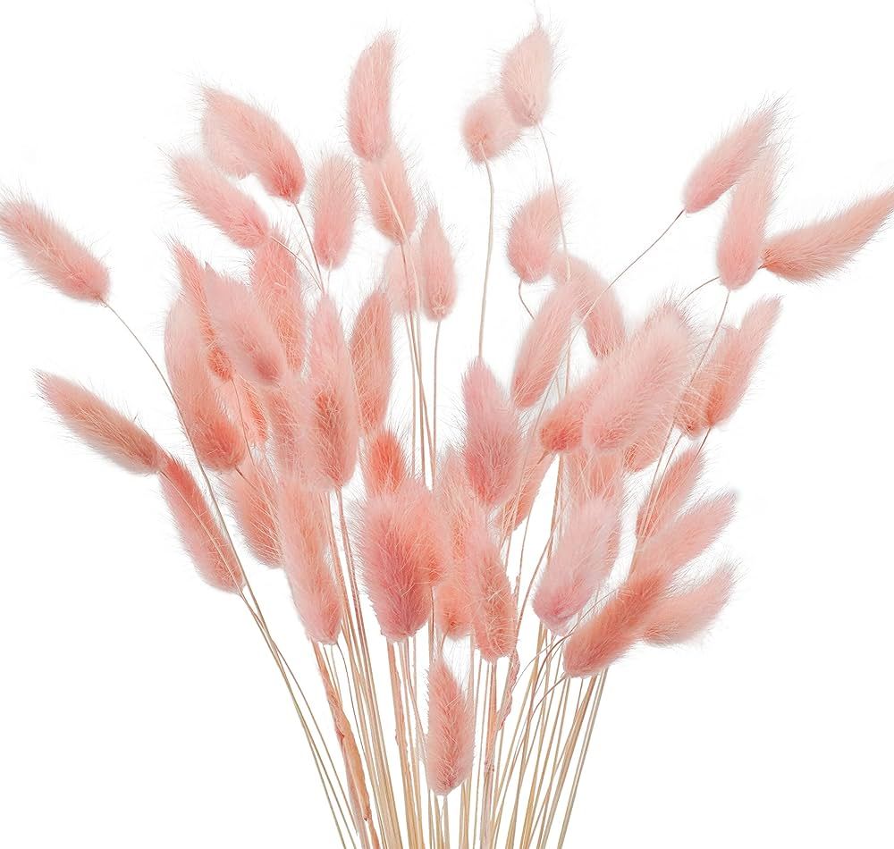 17’’ Natural Bunny Tails Dried Flowers, 50 Pcs Dried Lagurus Ovatus, Dried Pink Pampas Grass ... | Amazon (US)