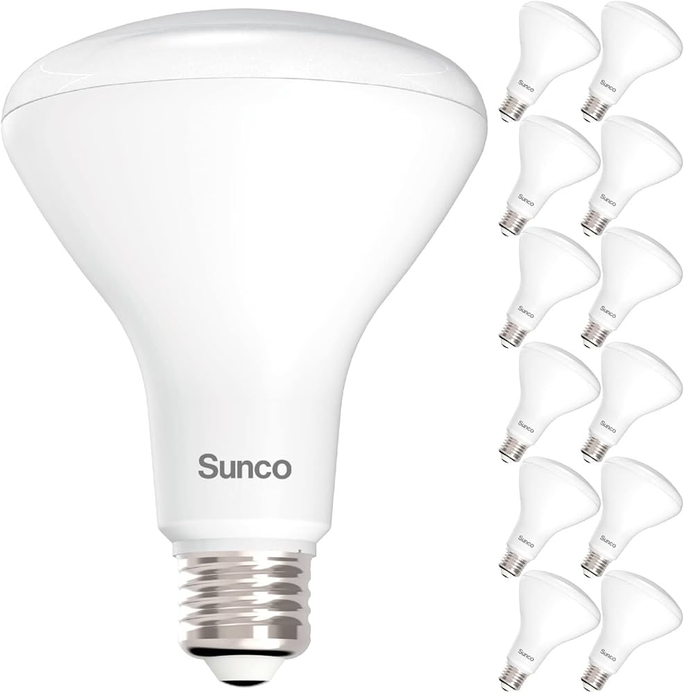 Sunco 12 Pack BR30 Light Bulbs LED, Recessed Can Light Bulbs, Indoor Flood Bulb, 850 LM, 11W (65W... | Amazon (US)
