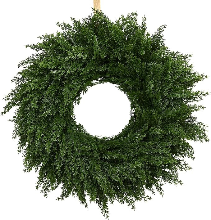 24 Inch Norfolk Pine Christmas Wreath – Artificial Greenery Wreath for Front Door, Wall, Window... | Amazon (US)