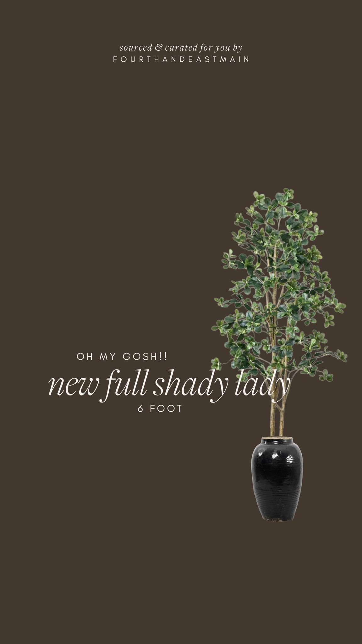 oh my goodness! amazing price on n this shady lady tree nice and full and tall!! 

amazon home, amazon finds, walmart finds, walmart home, affordable home, amber interiors, studio mcgee, home roundup wayfair finds 

#LTKHome