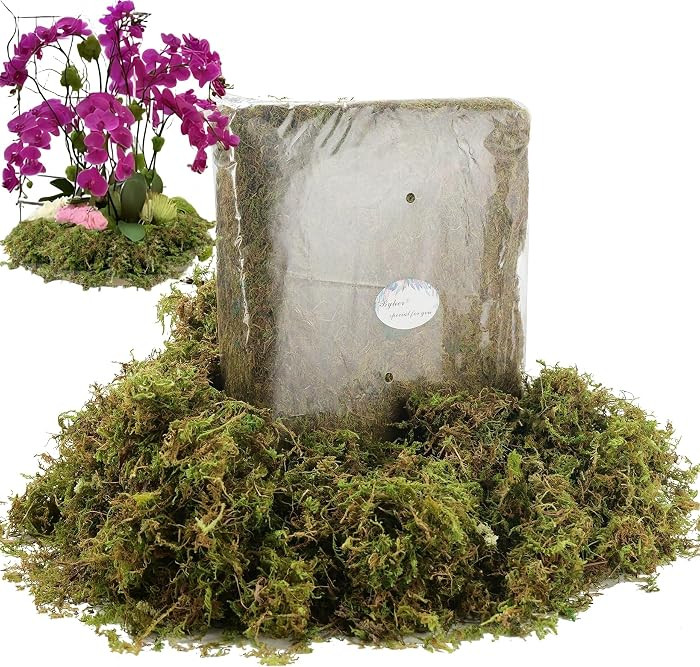 BYHER 19 OZ Fake Moss for Potted Plants Indoor, Artificial Moss for DIY Crafts, Faux Decroative M... | Amazon (US)
