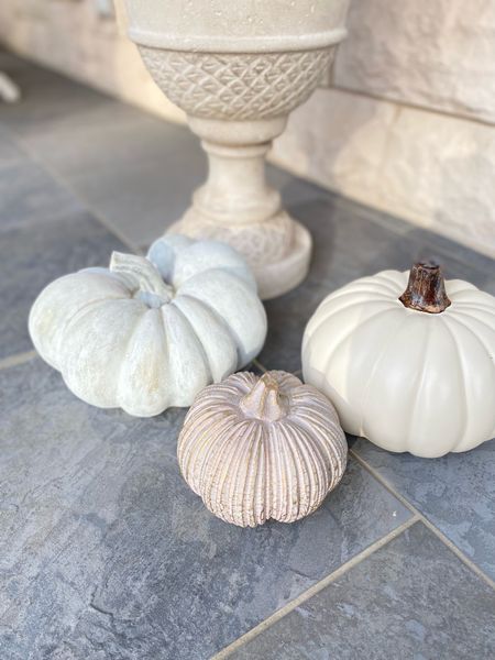 I decided to DIY some pumpkins! As you can see, the pumpkins all the way to the left I added some gray-blue colors to give it an aged, clay looking effect! I absolutely love this idea to take cheap, faux store bought pumpkins and make them look like something out of a category. Stay tuned for some more DIY pottery style pumpkins I did. 🎃🤍 

Decorate for the season with stylish pumpkin decor! This rustic blue pumpkin has a squat shape and a short brown stem that looks like the real deal. Displayed on it's own or grouped with other decor Fall accents, it adds the perfect touch to your indoor autumnal display. Available in mulitple styles and colors

Halloween • halloweekend • fall time • autumn • harvest • front porch • pumpkins • pottery • arts and crafts • home projects • paint • chalk paint • blue • gray • white • beige • greige • Benjamin Moore • Midwest living • southern living • homes and gardens • thanksgiving ideas • front yard • outdoor decor • autumn harvest • pottery barn style • anthropology style • look for less • affordable living • under $25 • under 50 • house beautiful

#LTKSeasonal #LTKHoliday #LTKunder100