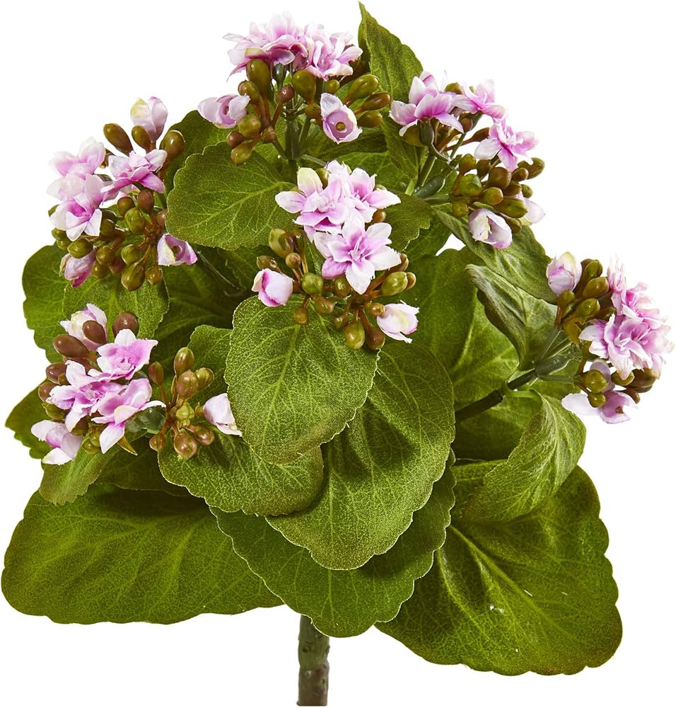 Nearly Natural 8” Kalanchoe Artificial Bush (Set of 6) Silk Flowers, Mauve | Amazon (US)