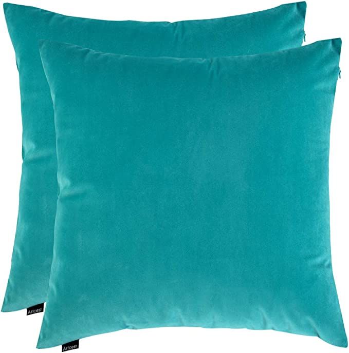 Artcest Set of 2, Cozy Solid Velvet Throw Pillow Case Decorative Couch Cushion Cover Soft Sofa Eu... | Amazon (US)