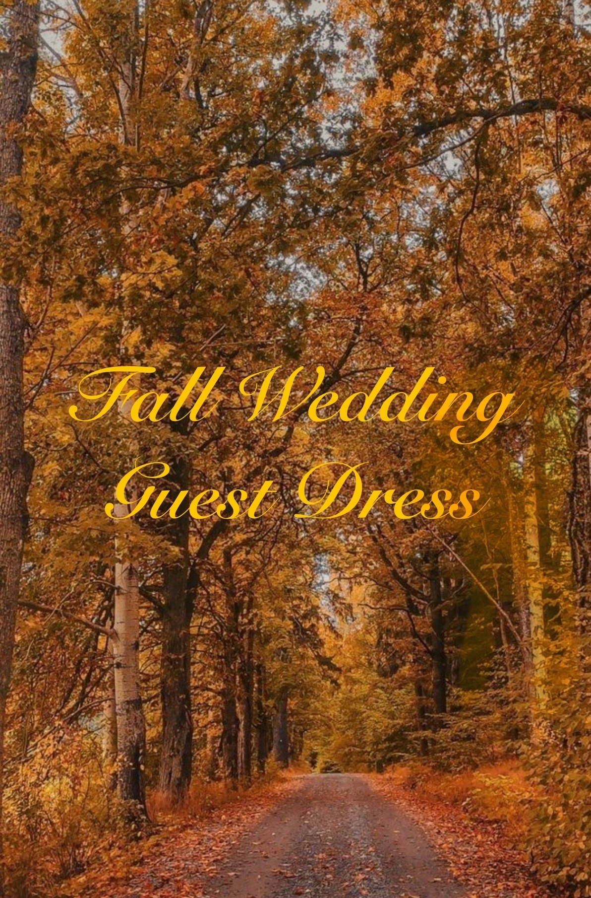 Fall Wedding Guest Dresses!

#LTKSeasonal #LTKFallSale #LTKWedding