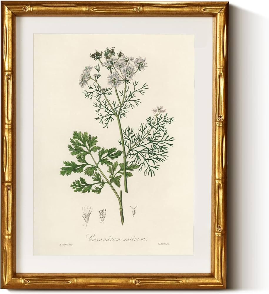 InSimSea Gold Bamboo Framed Canvas Wall Art, Plants Fern Botanical Paintings, Antique Vintage Pic... | Amazon (US)