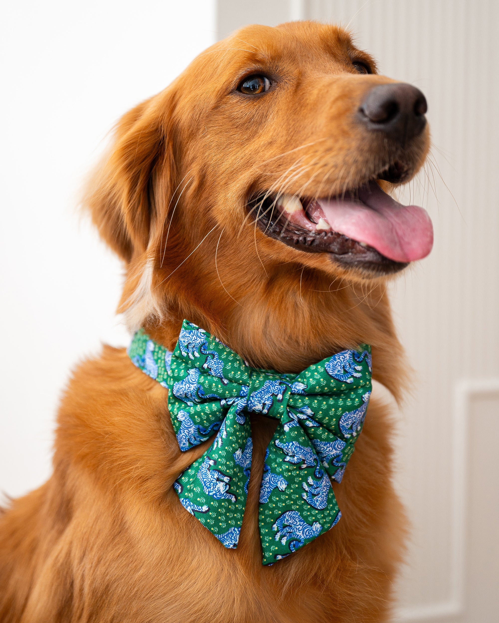 PF x The Foggy Dog Tiger Queen - Lady Dog Bow - Jade | Printfresh