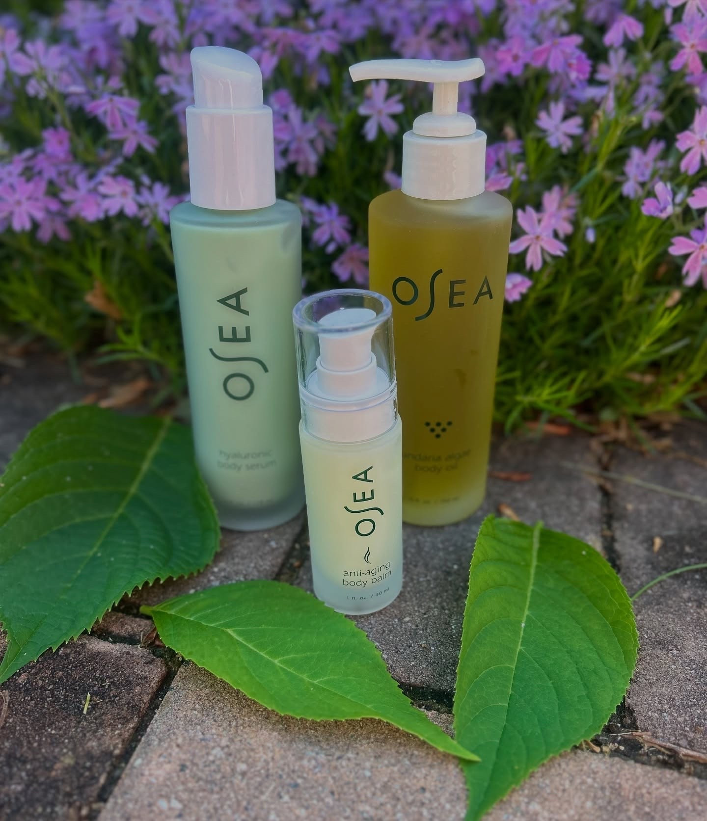 Get that Ocean Glow. These are beautiful holiday treats for your skin. What a lovely trio to grab right now for someone special including yourself. Osea Malibu has the best skincare to keep you feeling beautiful in the holidays and on any day of the year. The trio includes the hyaluronic body serum, undaria algae body oil and the anti-aging body balm. This was a best of beauty Allure 2024 award winner for a reason.  One of my favorites to use to keep my skin feeling soft and touchable.. 


#mothersdaygifts #mothersday #mothersdaygiftideas #oseamalibu #ltkover40 #ltkbeauty #ltku #ltksalealert #giftset #holidaygift #hostessgift #oseamalibu #skincare #ltkfindsunder50 #ltkfindsunder100

#LTKGiftGuide #LTKHoliday #LTKBeauty