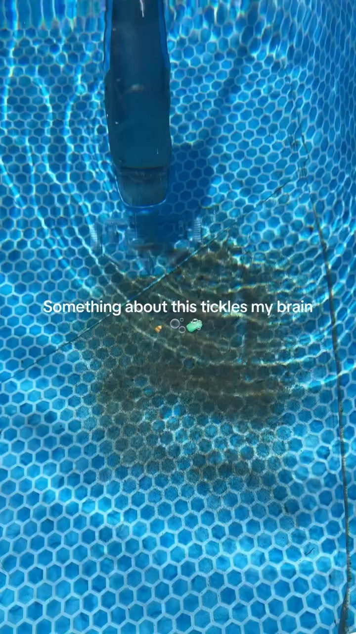 This cordless pool vacuum it’s such a game changer for any pool owner. There is something so satisfying about watching a pool be vacuumed.#ad #poolvacuum #poolcleaning

#LTKSeasonal #LTKSwim #LTKSaleAlert