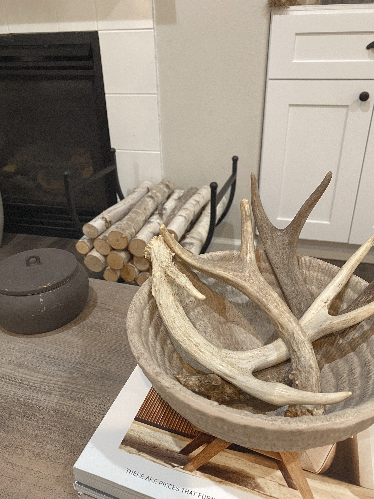 Neutral home, modern rustic decor, Target style, antler styling, Paddywax, Studio McGee, under 100

#LTKfindsunder100 #LTKhome