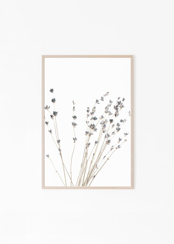 Lavender Print, Lavender Art Print, Lavender, Wall Print, Wall Art Print, Lavender Art, Botanical... | Etsy (US)