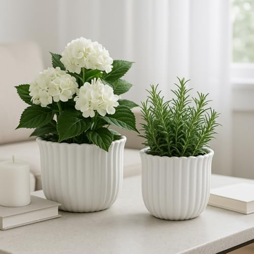 Ceramic Flower Pots for Home Decor – Elegant Fluted Planters for Indoor and Outdoor Succulents ... | Amazon (US)