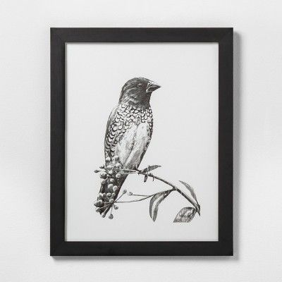 Sketched Bird on Branch Wall Art with Frame - Hearth & Hand™ with Magnolia | Target