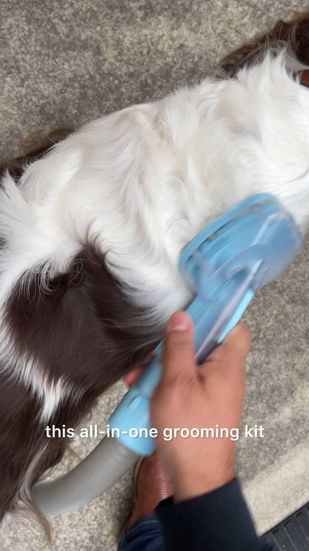 If you are a pet parent with fur babies, listen up! It’s all in one grooming kit helps us manage all the shedding by brushing, detangling, de-shedding, de-matting…
You can even trim your dogs further with the clippers that are included. And there is a vacuum to suck up all the hair, so you don’t have to deal with the mess! 

It literally does everything except bathe your dog for you! Once your puppy is clean, it even becomes a vacuum to dry their fur. 

It is specifically made for pets, so the volume level is very low, ensuring that you’re not hurting your dogs ears, and the heat is just enough to get them dry without burning their skin. We love this, because it makes the whole dog grooming experience safe and stress-free for both of us!#LTKxPrimeDay

#LTKGiftGuide #LTKVideo #LTKFamily