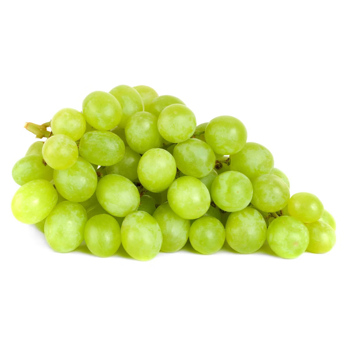 Fresh Extra Large Green Seedless Grapes - 1.5lb Bag | Target