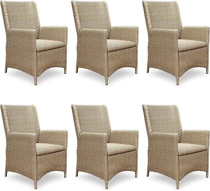 Outdoor Wicker Dining Chairs Set of 6 with Quick-Dry Foam | Amazon (US)
