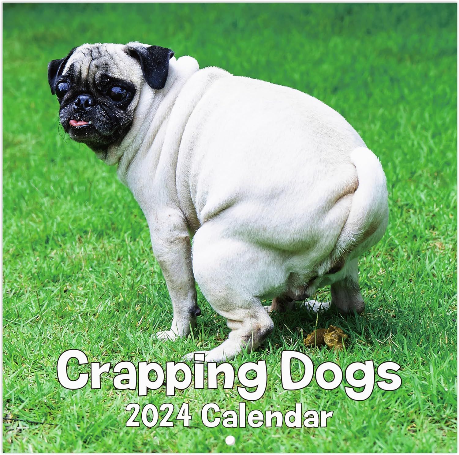Gag Gifts - Pooping Dogs Wall Calendar 2024 from Jan.2024 to Dec.2024, 11.8" x 23.6"(Open), Funny... | Amazon (US)