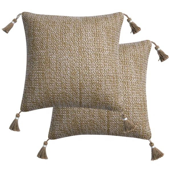 Embroidered Polyethylene Indoor/Outdoor Throw Pillow (Set of 2) | Wayfair North America