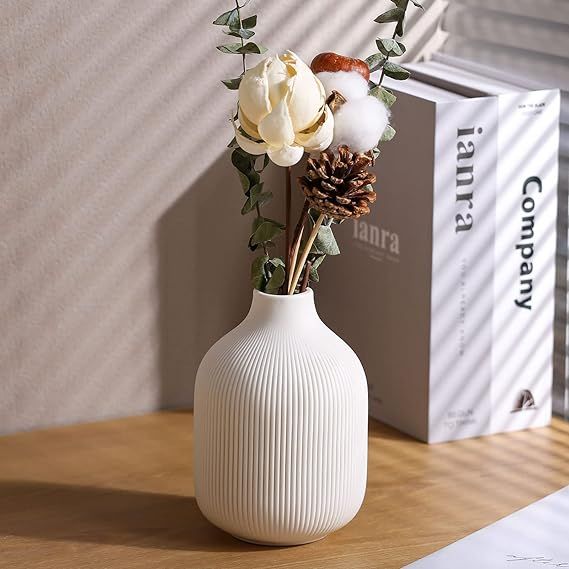 Modern Minimalist White Ceramic Decor Vase Set of 3, Neutral Small Ribbed Vases for Table, Shelf,... | Amazon (US)
