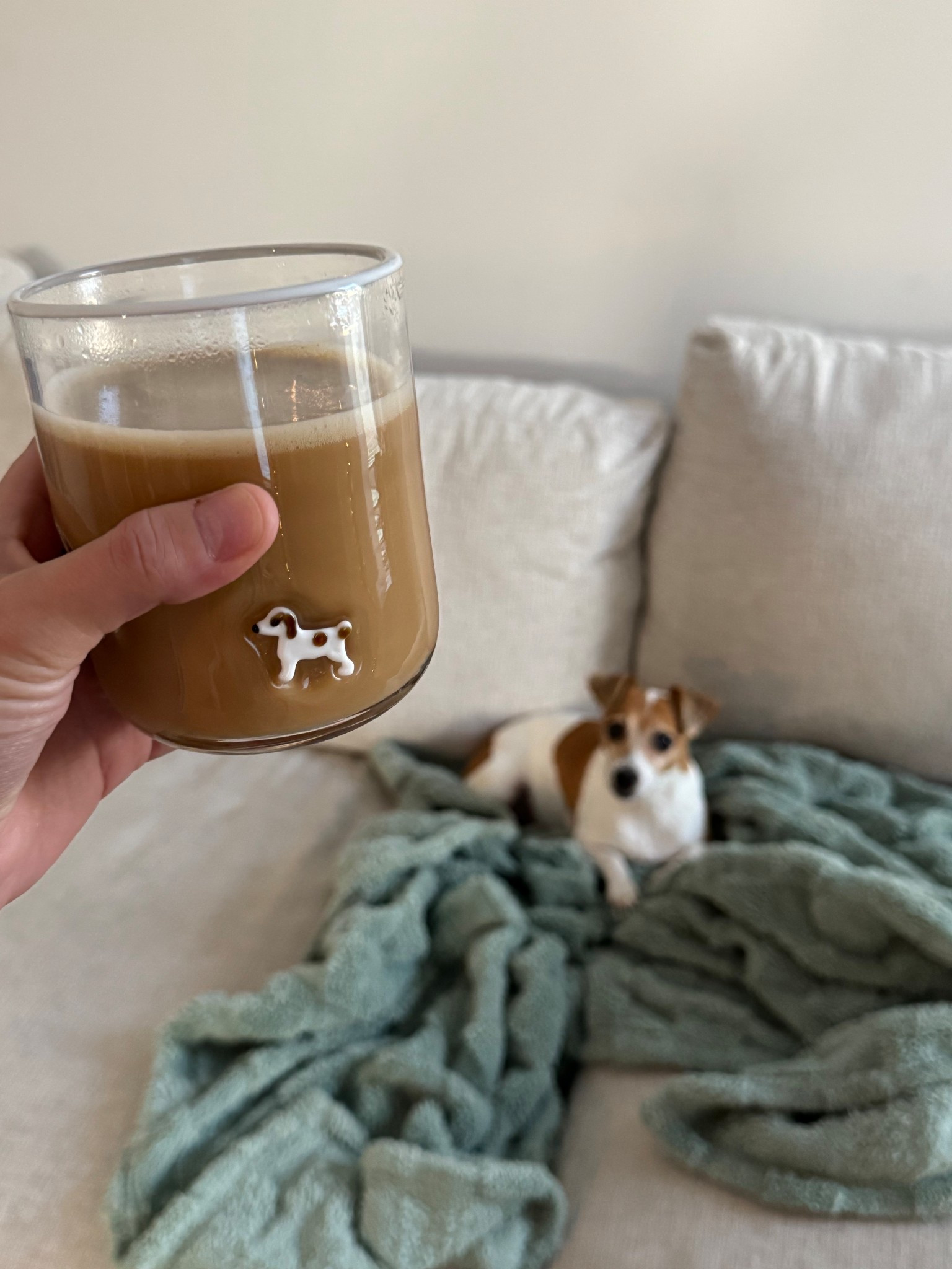 A cup to match your dog? Spectacular, gimme 14 of ‘em 🤩 they also have Boxers and weenie dogs! 

Threw in some holiday cuties as well🎅I love collecting these throughout the year! 

#LTKHoliday #LTKSeasonal #LTKGiftGuide