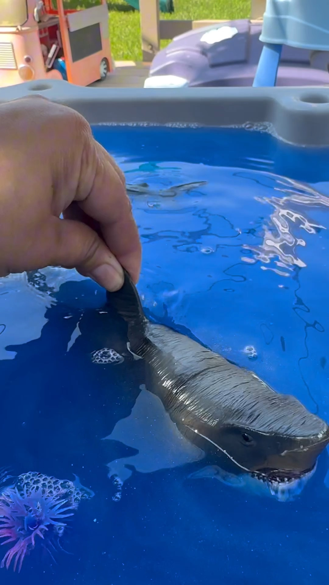 What lies beneath. 🦈 

We did some mystery water / shark find in the water table today. It’s amazing how a little bit of water can turn into hours of fun.

For real thought this mystery water is not as easy as it looks. I ended up going with metallic tempera paint because the cornstarch didn’t look glittery enough. It took about 3 bottles of paint to actually get it opaque in the water table.

#sharkweek #sharkweekactivities #watertable #watertableplay #waterplay #sharkweekideas

#LTKKids #LTKFamily #LTKSeasonal