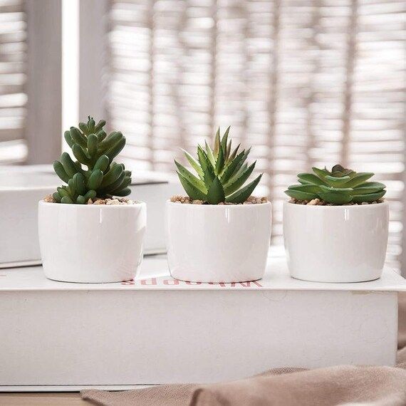 Set of 3, Mini Artificial Faux Succulent Plants in White Round Ceramic Pots | Etsy (US)