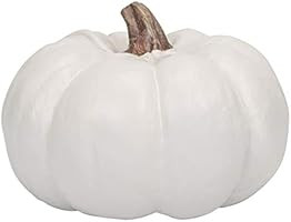 Elanze Designs Ivory 6 inch Decorative Resin Harvest Pumpkins (White), Quantity 1 | Amazon (US)