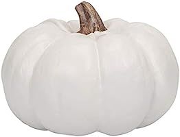 Elanze Designs Ivory 6 inch Decorative Resin Harvest Pumpkins (White), Quantity 1 | Amazon (US)