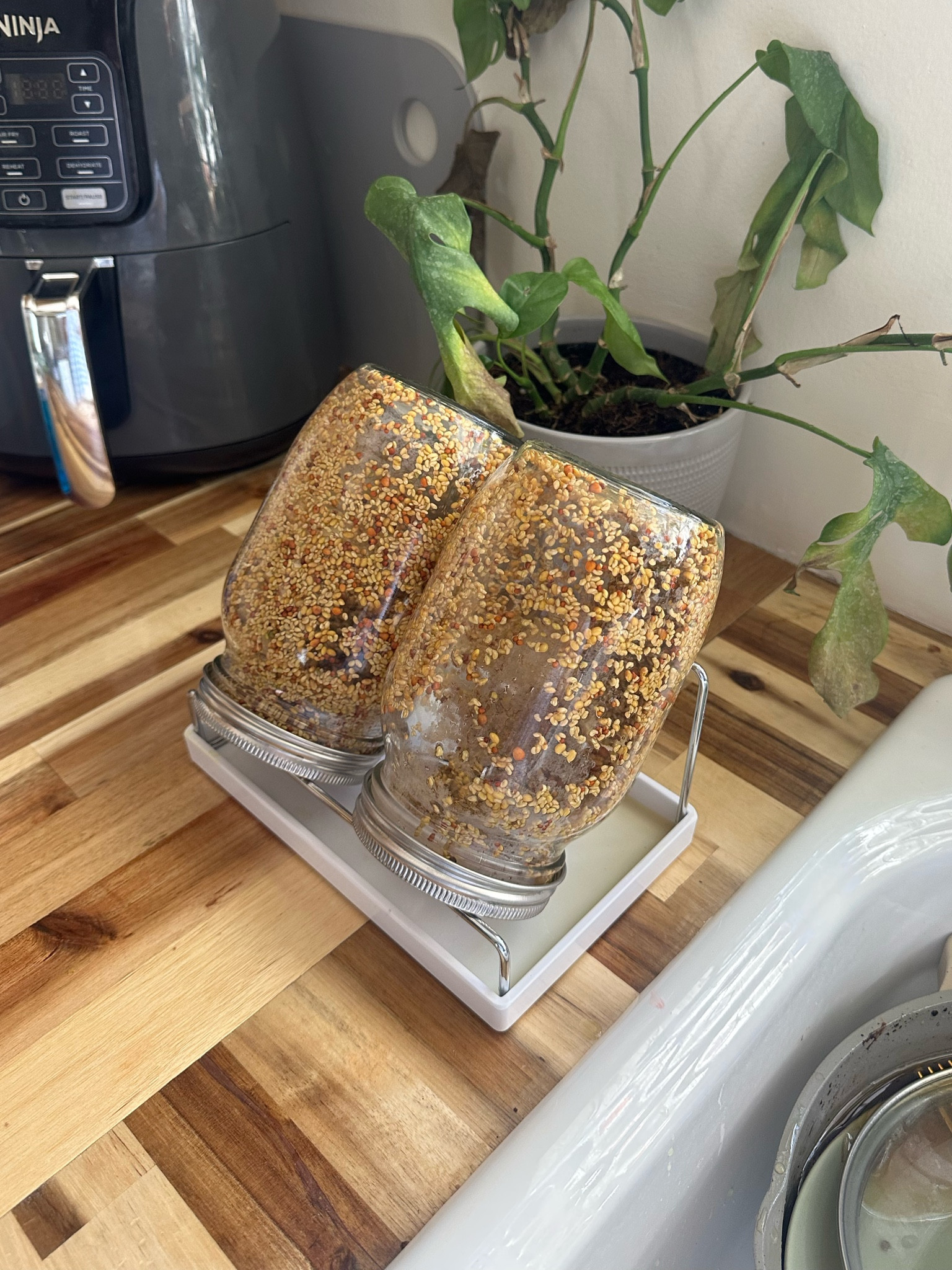 SPROUTS KIT!! 💕✨ 🌱

#LTKhome