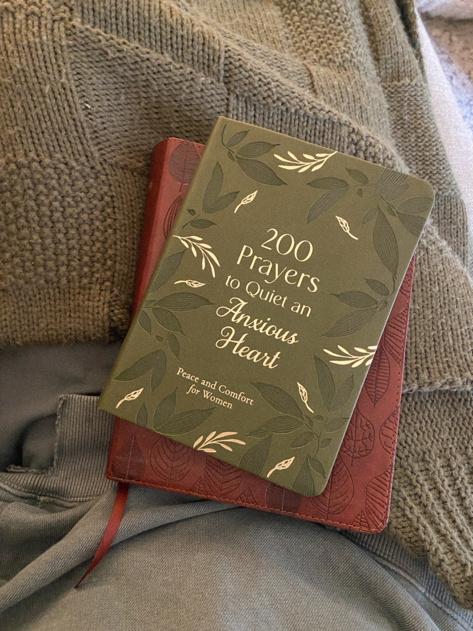 current addition to my morning Bible study 🤍

#LTKGiftGuide #LTKHome