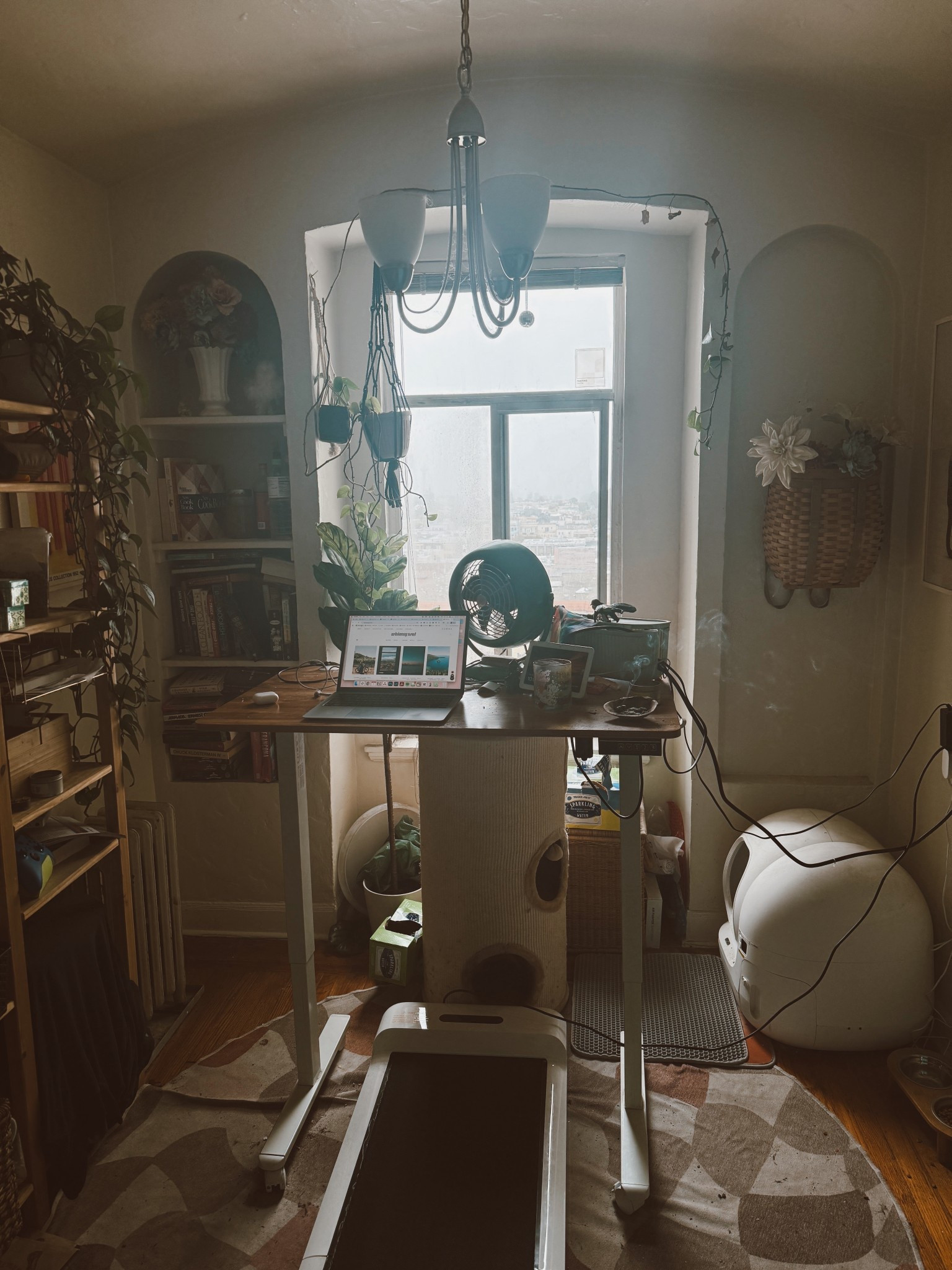 Walking pad for meetings today #walkingpad #wfh #standingdesk #cattower 

#LTKHome