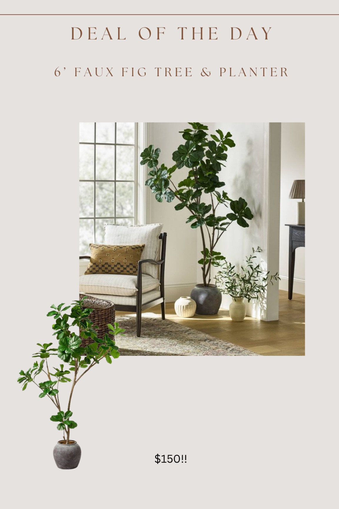 Brand new target faux tree!!  It also comes with the planter which makes it an even better value! Their faux trees are always super popular, I can’t believe this hasn’t sold out yet! 

#LTKHome #LTKSaleAlert #LTKStyleTip