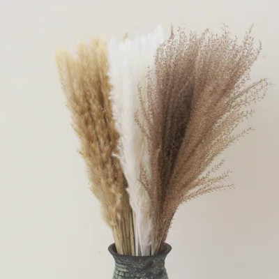 52 PCS Small Boho Pampas Grass, 16" Naturally Dried Pompas, Pampas Grass Decor For Wedding , Boho Party Decorations, Table Decor | Wayfair North America