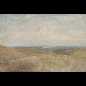 BLUE VALLEY | Juniper Print Shop