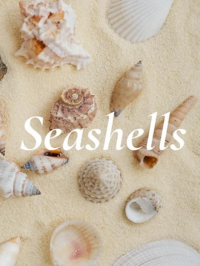 Seashells: A Decorative Book with Seashell Cover for Coffee Table Styling and Coastal Home Décor... | Amazon (US)