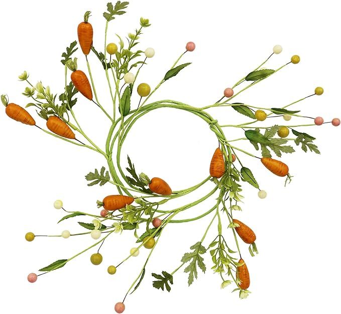 5ft. Berry & Carrot Coil Garland by Ashland® | Amazon (US)