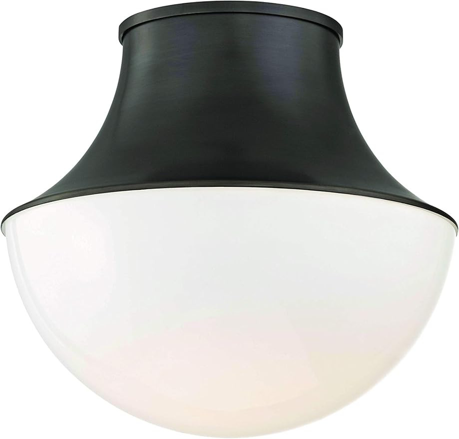 Hudson Valley Lighting 9415-OB Lettie LED 15 InchW Flush Mount - 14.75 Inches Wide by 13.25 Inche... | Amazon (US)
