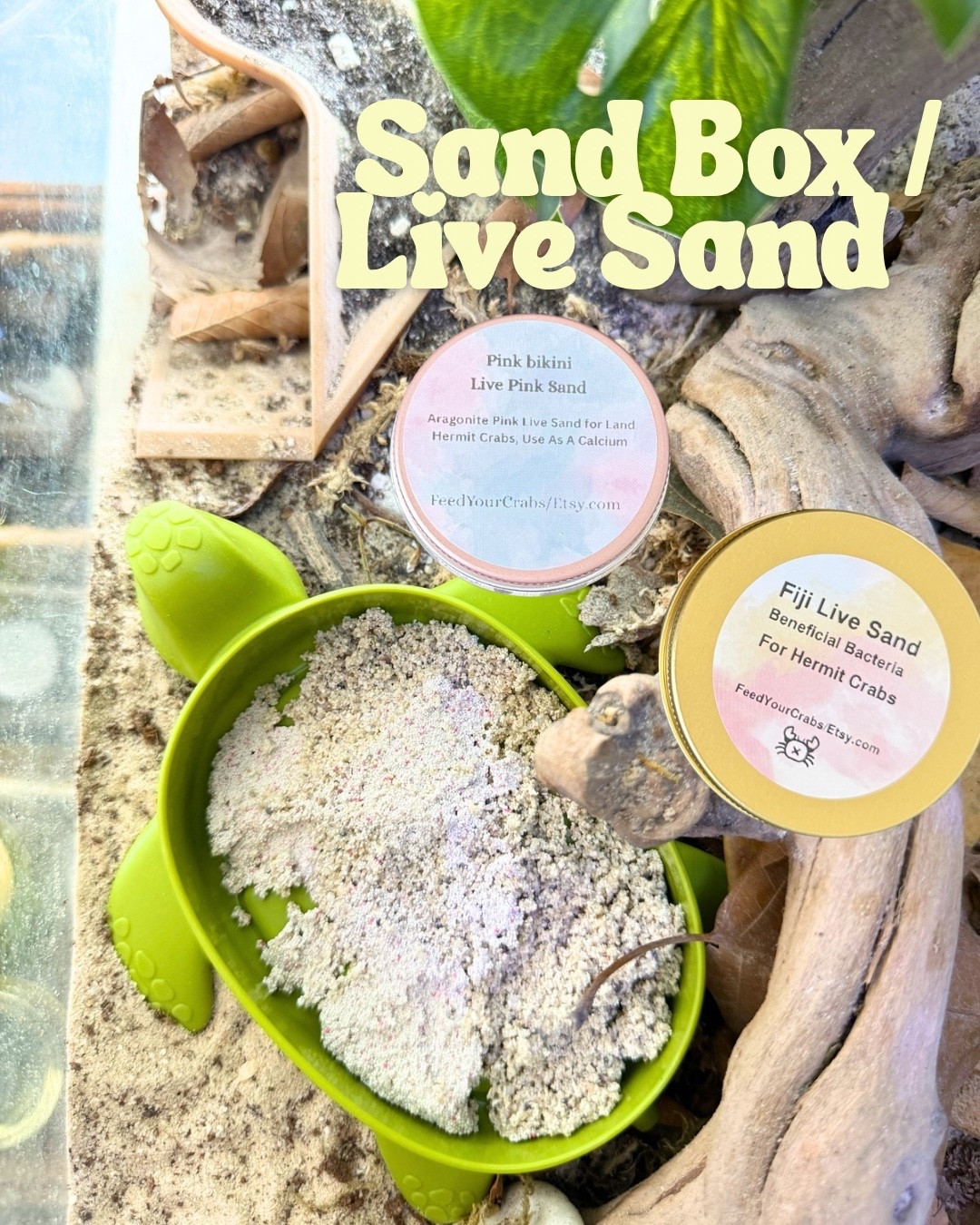Live sand and sand box for hermit crabs