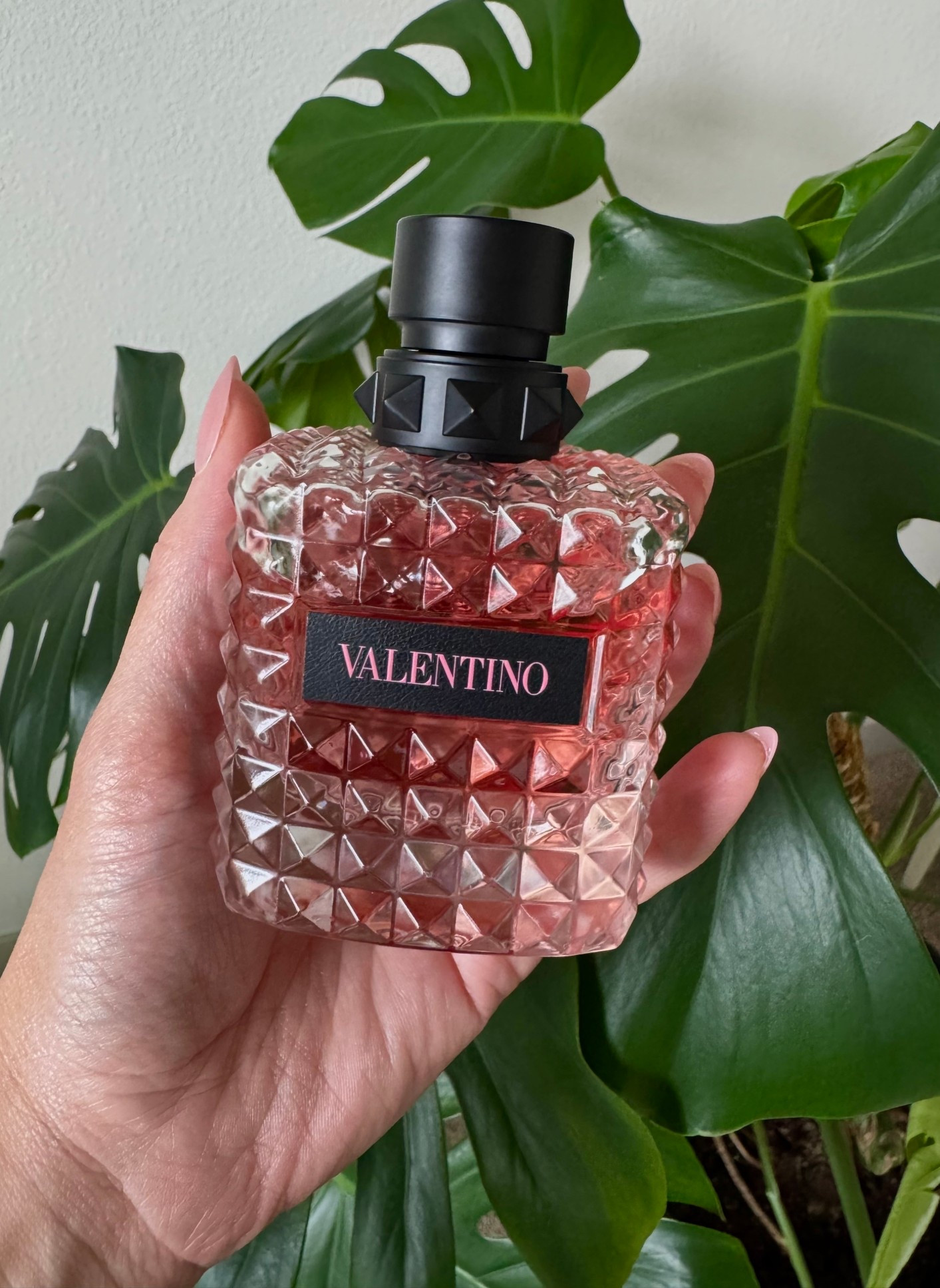 #scentoftheday

#LTKBeauty