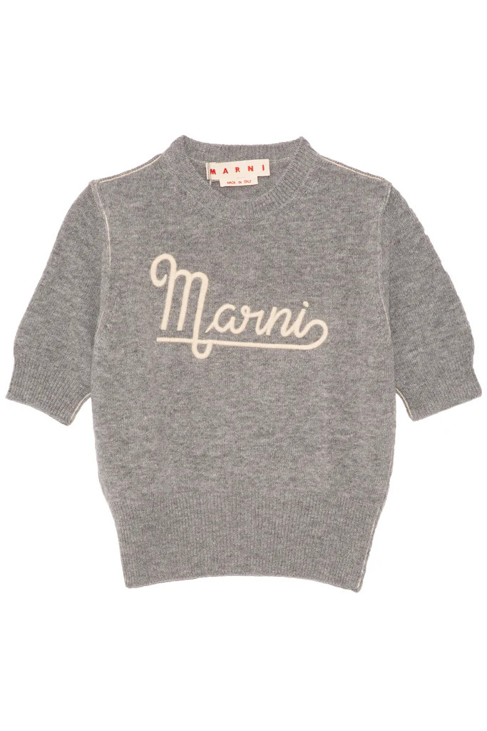 Short Sleeve Logo Crewneck Sweater in Inox | Hampden Clothing