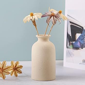 Dry Flower Vases, Ceramic Vase, Living Room Decoration,Flower Arrangement Decoration Shooting Props, | Amazon (US)