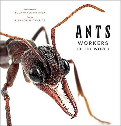 Ants: Workers of the World | Amazon (US)