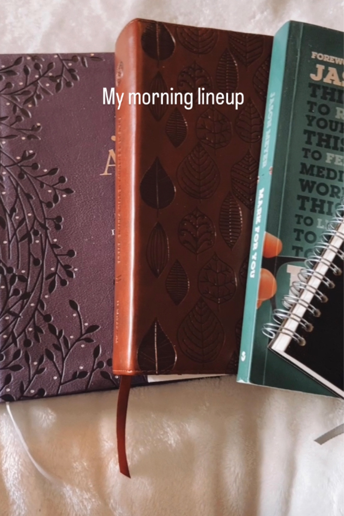 My morning line up 🤍 starting every morning I’m Gods word & growing closer to Him 

#LTKunder50 #LTKU #LTKunder100