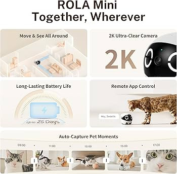 Enabot EBO ROLA Mini 2K Camera Robot: cámara móvil para mascotas alimentada por batería con ap... | Amazon (US)