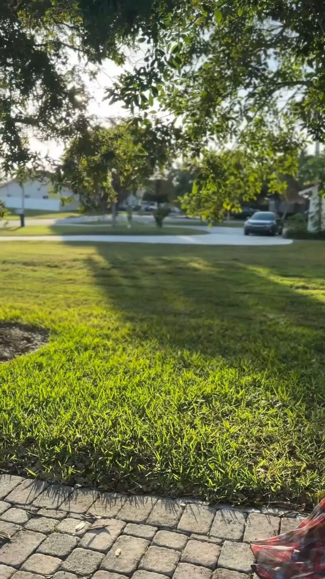 Loving this cute mermaid fit plaid skirt . It fully lined and has some stretch . Wearing an XS , top is a sm . Plaid skirts are the cutest ever ! Perfect for the fall and winter months . Wearing a sm and I could of sized down by 1 . Cardi is old I will link similar .#plaidskort #fallstyle 



#LTKSaleAlert #LTKootd #LTKOver40
#plaidskirt , #fallinspo 

#LTKseasonal  

#LTKSaleAlert #LTKootd #LTKOver40