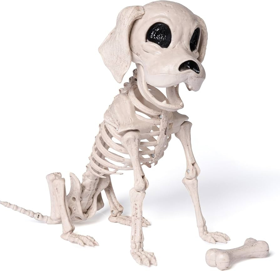 JOYIN Posable Halloween Dog Skeleton Full Body Posable Joints Realistic Skeleton Puppy with Movab... | Amazon (US)