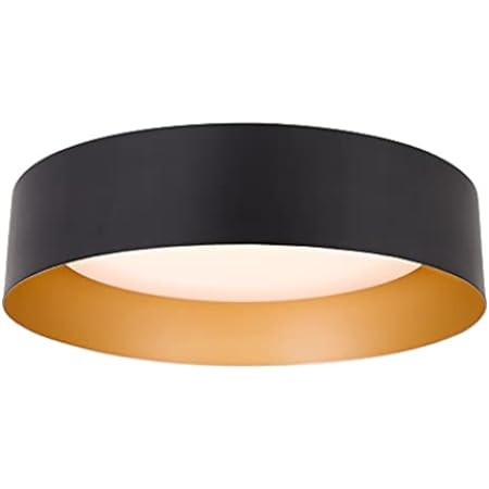 Goomavi Modern Flush Mount Ceiling Light,Minimalist Metal Black and Gold Finish Close to Ceiling Lig | Amazon (US)
